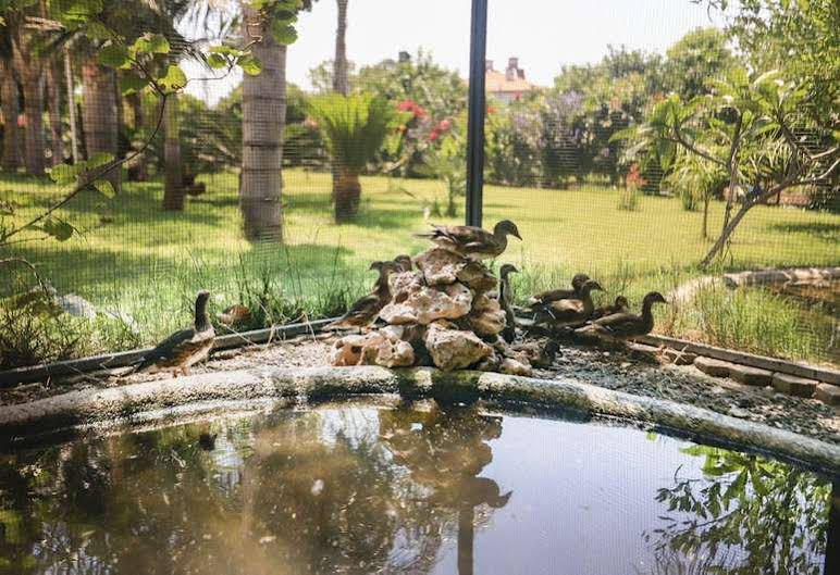 Camyuva Motel Kemer Kültér fotó